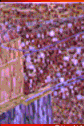 desenho e pintura